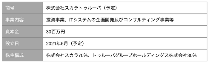 【表】合弁会社の概要