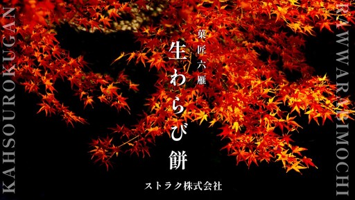 ストラク株式会社