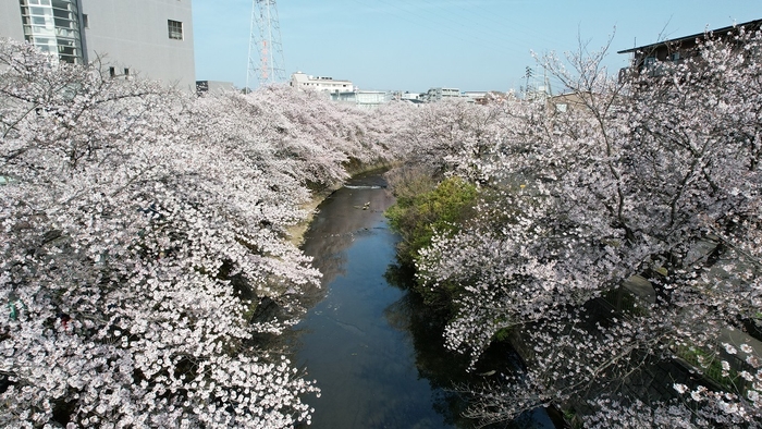 恩田川