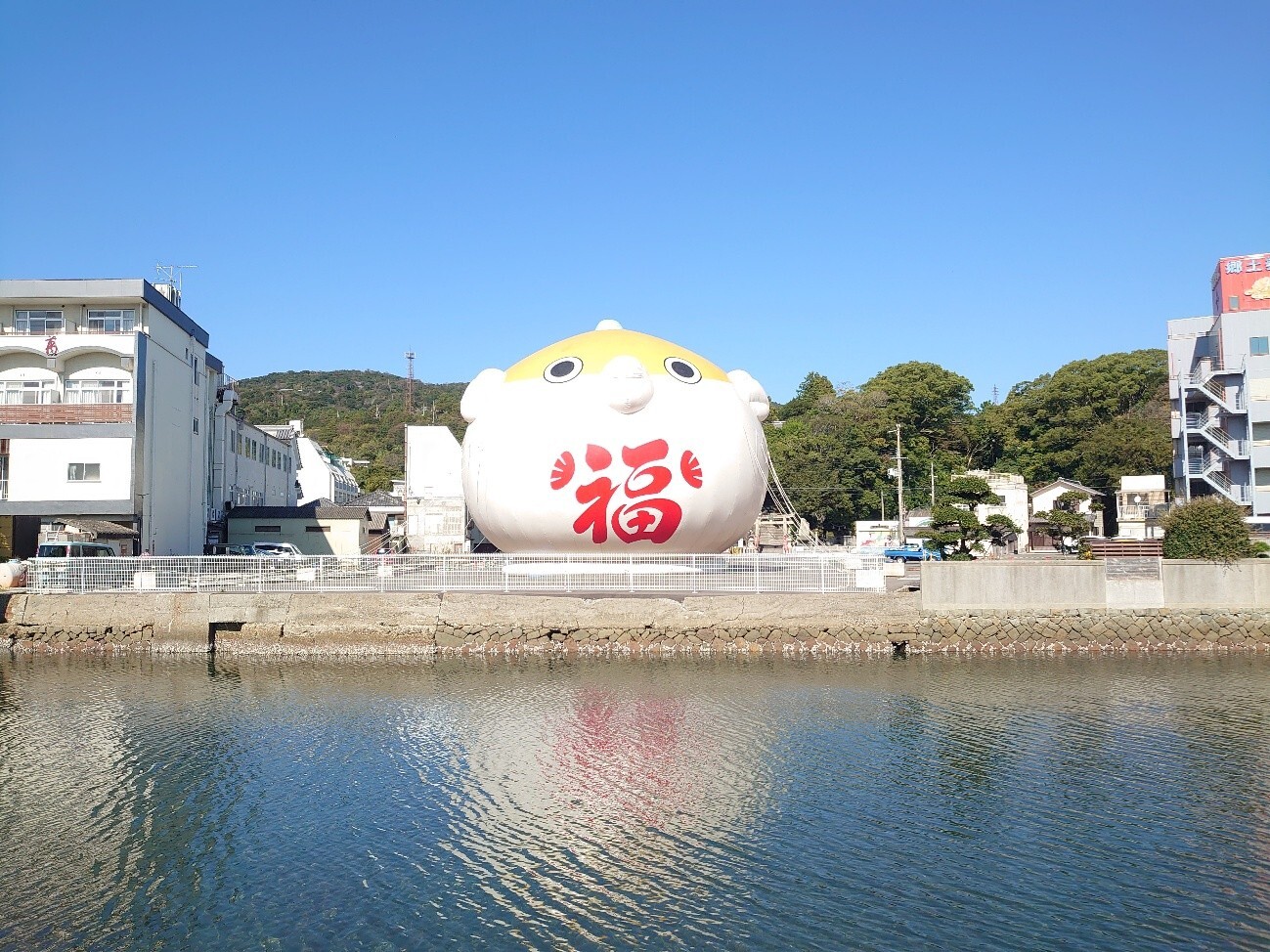 「100年とらふぐ」