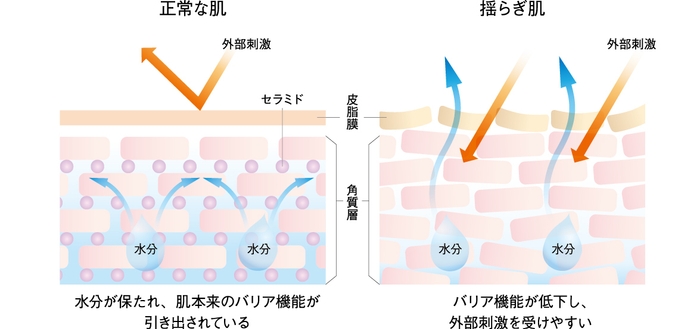 肌のバリア機能