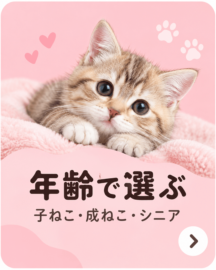 年齢で選ぶ