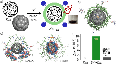 図4（a）らせん型カプセル1DによるC60の内包とその溶液写真　（b）2D・C60の立体構造（内部空間周辺の拡大図）と（c）分子軌道計算　（d）C60に由来するCDバンドの強度比較