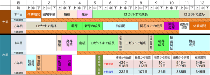 図3：水耕栽培と土耕栽培の栽培歴および栽培期間の比較