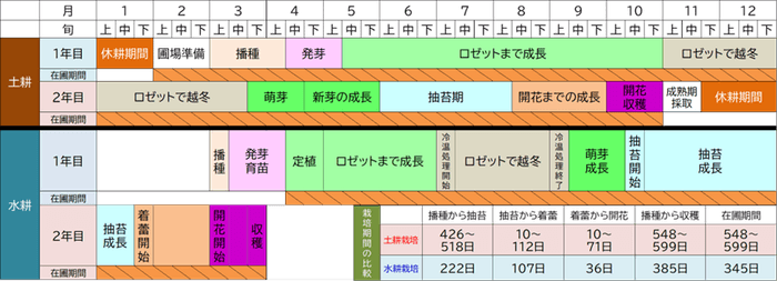 図3:水耕栽培と土耕栽培の栽培歴および栽培期間の比較