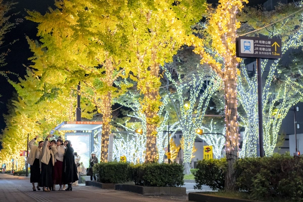 和歌山市の夜が輝きだす！ 130万球の光と500機のドローンが街と夜空を彩る けやきライトパレード＆WAKAYAMA LIGHTS 2025！