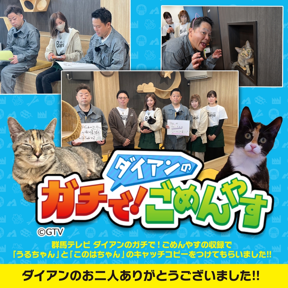 TV取材
