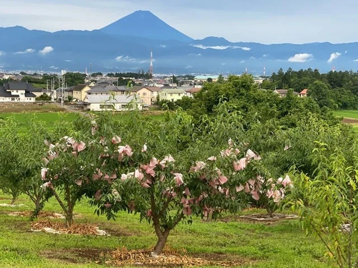 山梨県・甲斐市(1)