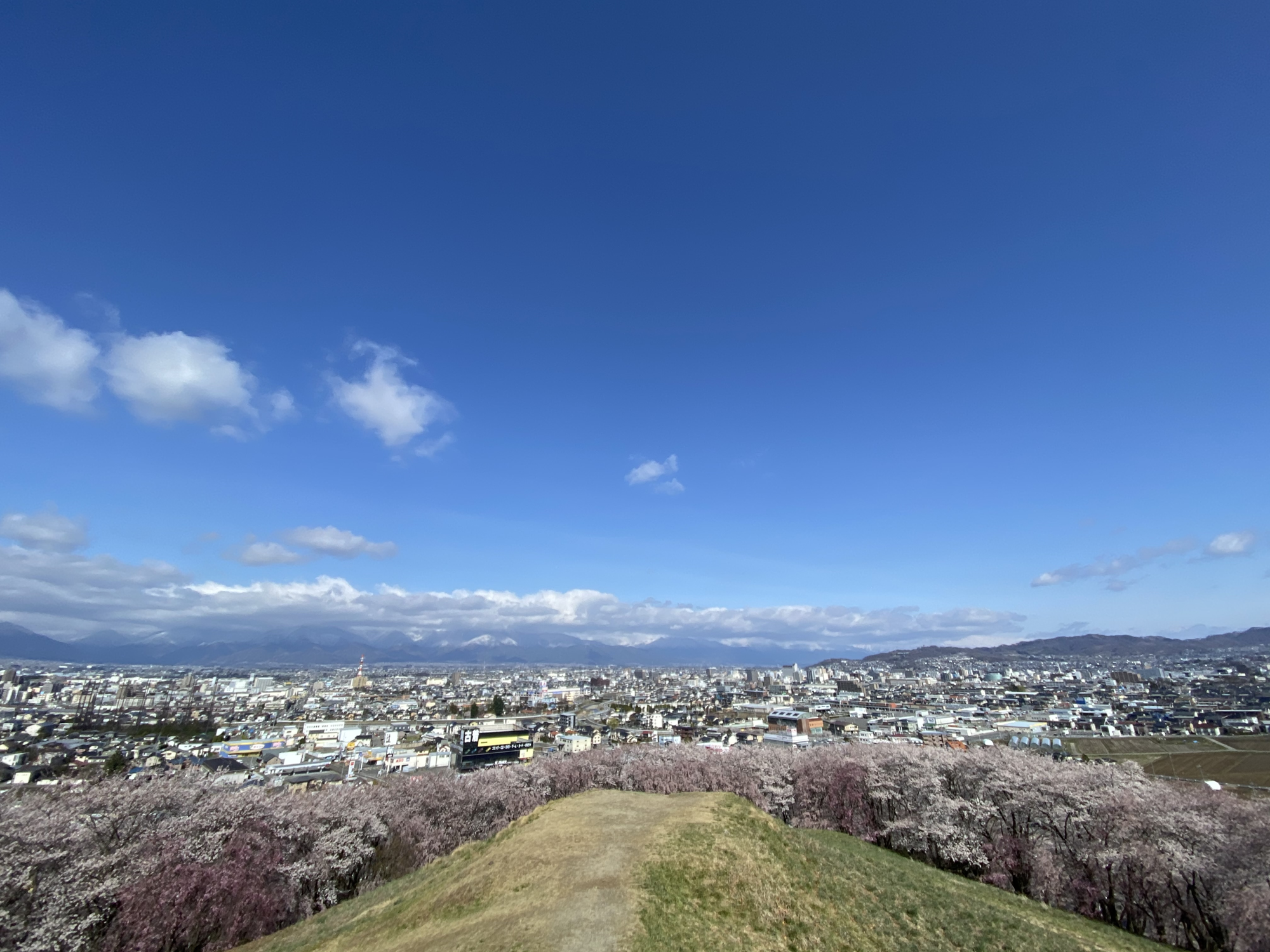 松本を“日本列島の丹田”に—氣の概念を言語化した書籍『龍がおよぐ 丹田のまち 松本』クラファン開始