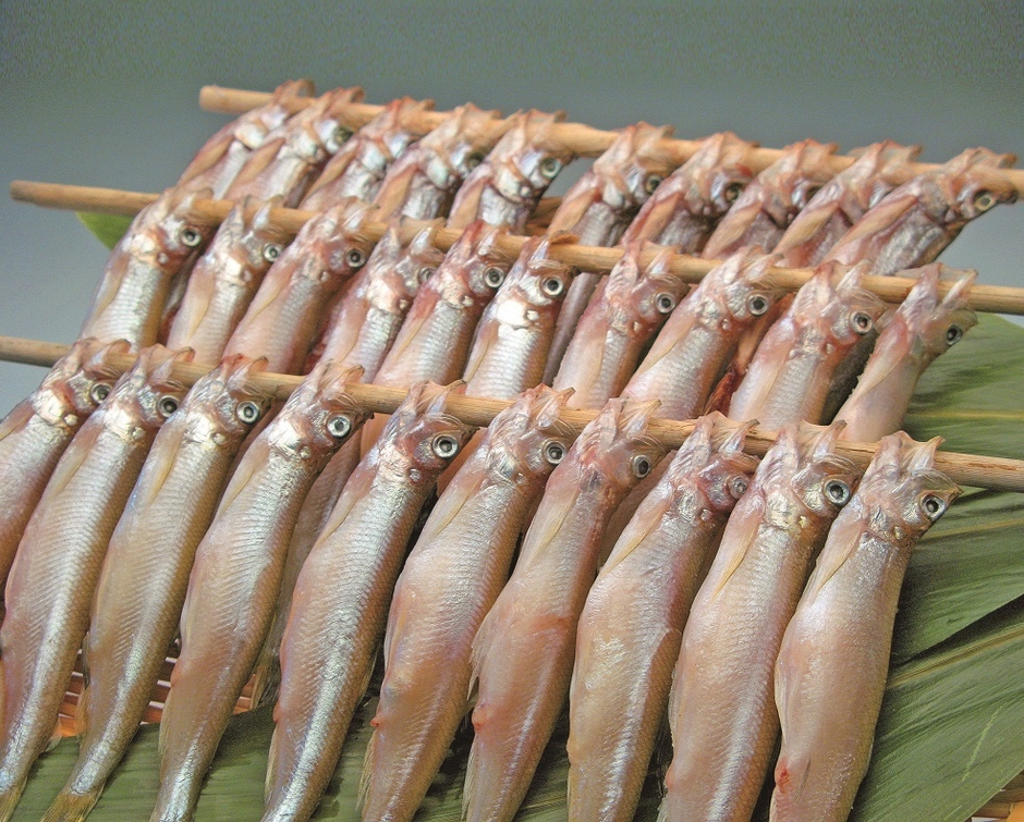 カネダイ大野商店