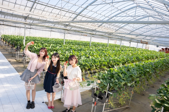 参考:ハウス内部