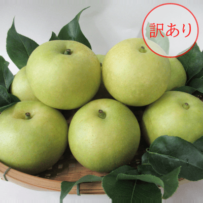 【送料無料】訳あり 二十世紀梨 3kg 3300円 ➡(クーポン利用で)2800円