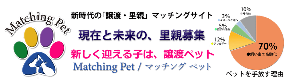 Matching Pet -2