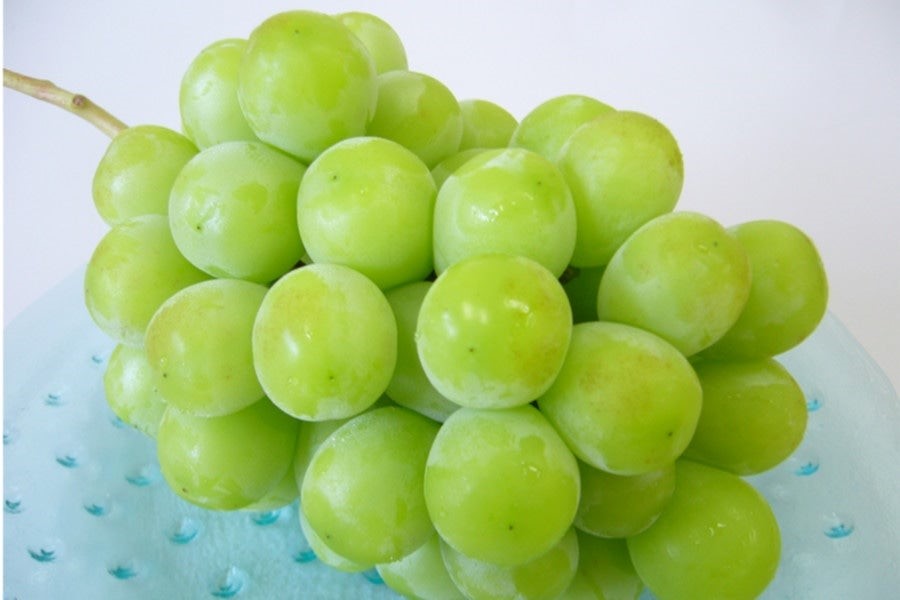 種なし!甘くておいしい!皮ごと食べられる! 産地直送通販サイト「JAタウン」で島根県産「シャインマスカット」を 販売中!