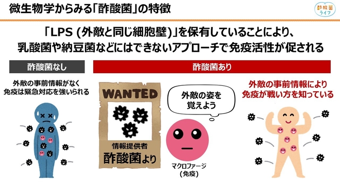 酢酸菌は微生物学から見ても唯一無二の菌