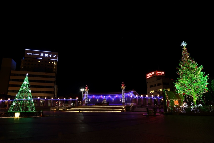 第14回(2013年)は、メインツリーをモミの木と金属フレーム製のよくばり2本立てにしました。