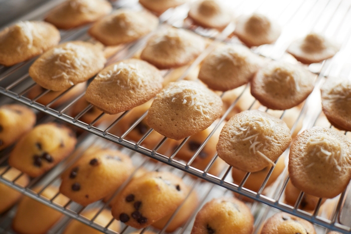 個性ゆたかなマドレーヌ