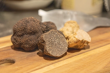 浅草の豚肉専門店の【豚とトリュフの特別コース】 年に一度の特別コースを2026年12月より提供開始 ──希少ブランド豚と季節トリュフの贅沢コース