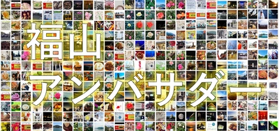 「福山アンバサダー」が追加募集で３１０名に！総フォロワー数は１１２万人に！