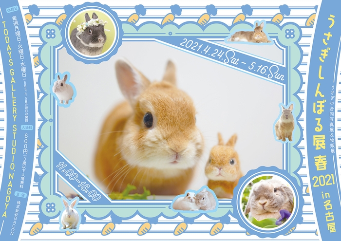 キービジュアル(横)