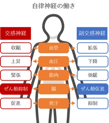 季節の変わり目は、便秘に要注意！ 腸内細菌が働く“オフィス”を綺麗に　 「大腸劣化」の悪影響に関する 小林 暁子先生監修の新着コラムを公開