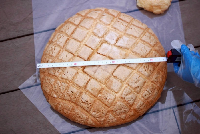 20倍メロンパン2