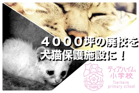 日本初！廃校(敷地面積4,000坪)をリノベーションした 「犬猫保護シェルター」プロジェクト開始