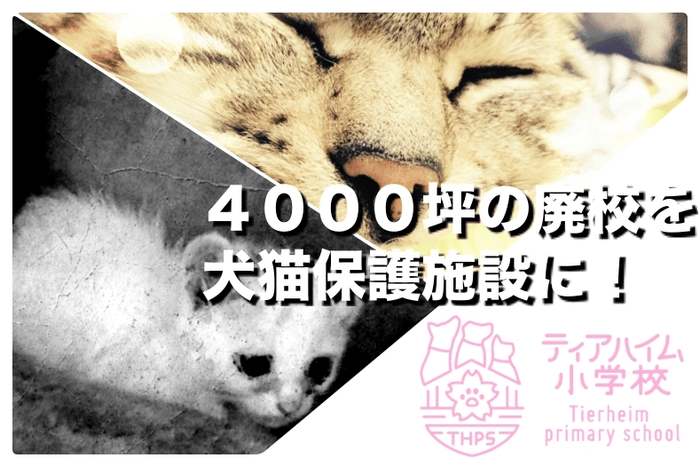 廃校再活用プロジェクト