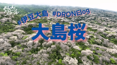 大島桜　空撮