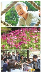 フォトコンテスト エントリー写真例