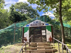 比叡山ドライブウェイの夏の風物詩「かぶと虫の家」オープン