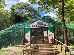 比叡山ドライブウェイの夏の風物詩「かぶと虫の家」オープン