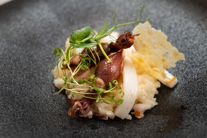 前菜 イカのリゾット