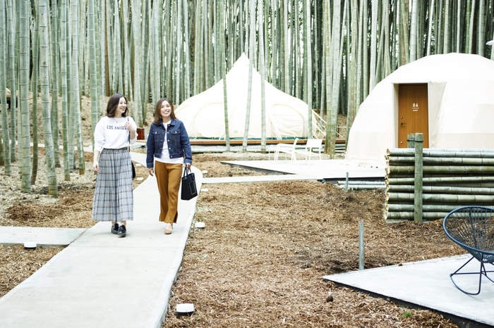 THE BAMBOO FOREST