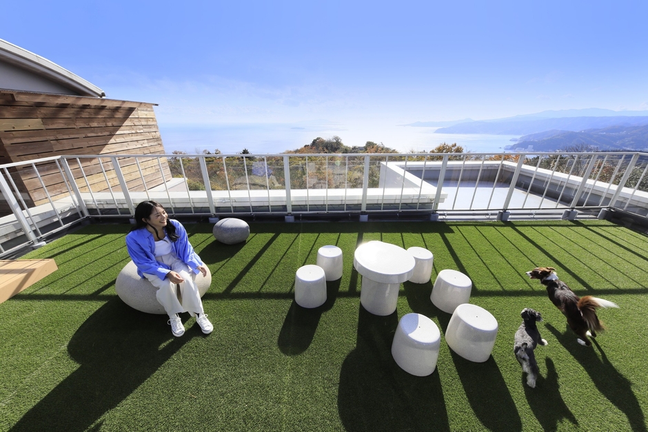 屋外・屋外・屋上の3タイプの＜ドッグラン＞