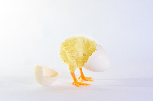 目指せ、一人前の社会人!新入社員がおすすめのアプリをご紹介