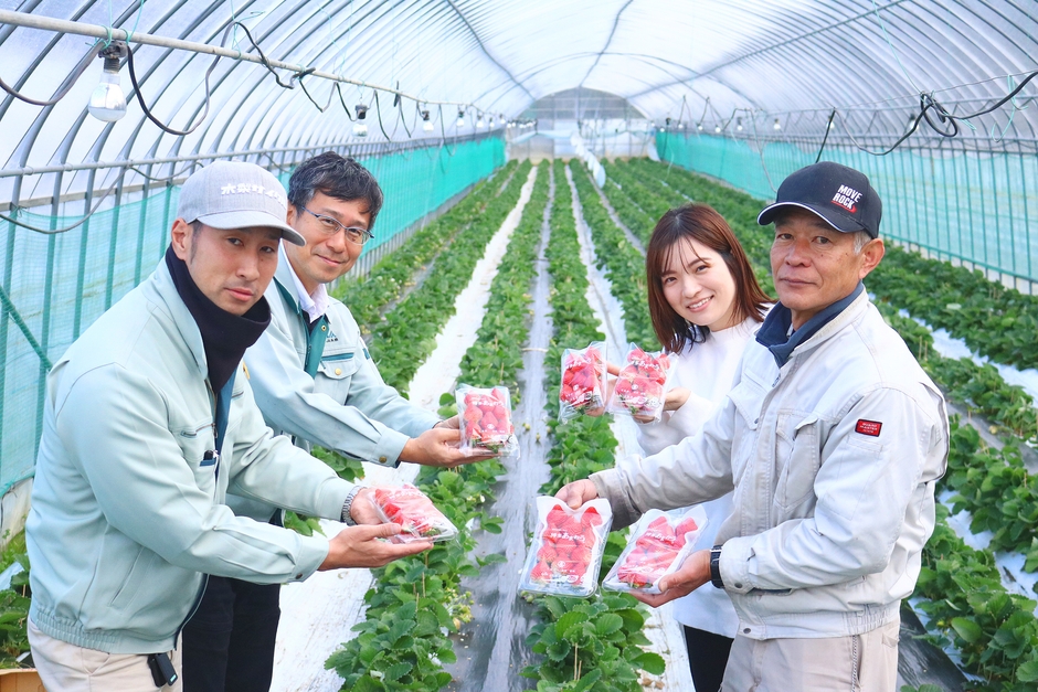 いちご農園での様子