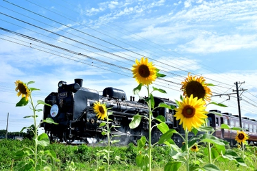 秩父鉄道「SLパレオエクスプレス運行35周年」＆ 熊谷駅～三峰口駅間往復3000回達成記念で記念入場券やグッズ販売