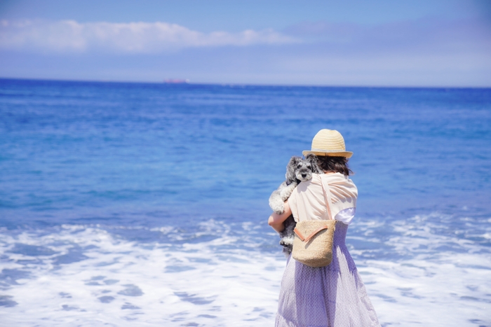 海岸沿いを愛犬とともにゆっくりとお散歩