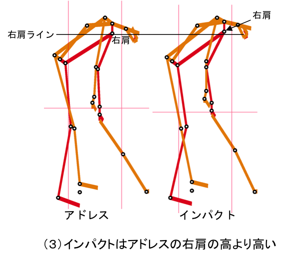 (3)の画像