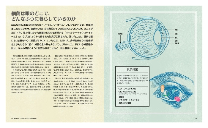 『とことん解説 人体と健康 ビジュアル 細菌のはたらきパーフェクトガイド』中面