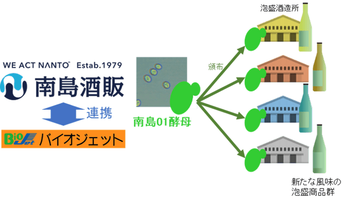 複数酒造所での泡盛開発への活用