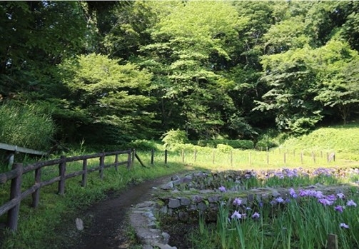 最優秀賞　受賞作品（写真：片倉城跡公園、画像提供：八王子・日野カワセミ会）