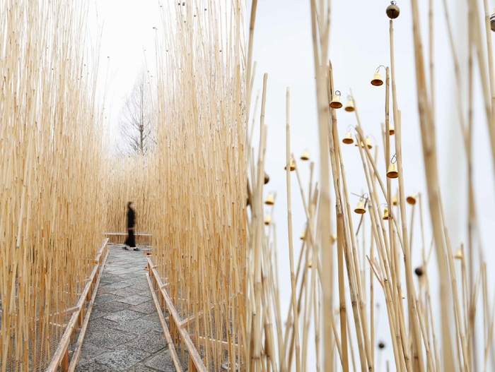 ユージン・ソレール『Kyoto Urban Wind Installation』撮影：来田猛