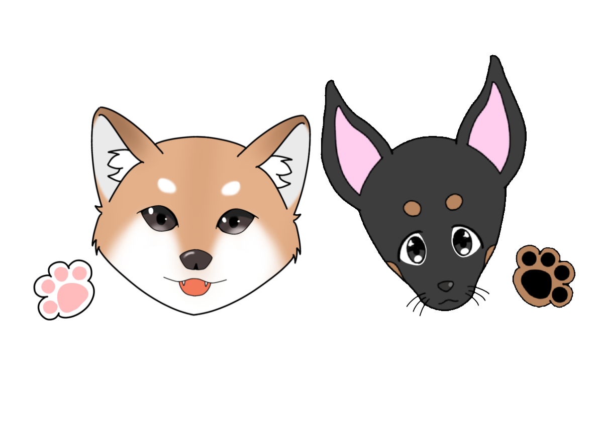 老犬ホーム暖家