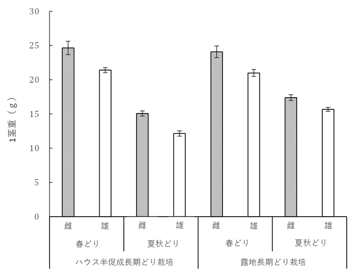 ムラサキアスパラガスの1茎重の雌雄間差