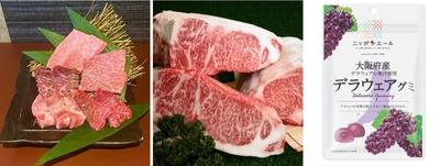 (左から)厳選5種食べ比べ 特別価格 2,189円(税込)/飛騨牛ステーキ 特別価格 2,189円(税込)/先着プレゼント ニッポンエールグミ (大阪府産デラウェアグミ)