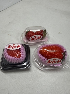 まりひめ