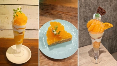 ～生産量日本一の鹿児島県からお届け！鹿児島生まれの極上柑橘～
福岡県の全農直営飲食店舗で「鹿児島県産大将季フェア」を
１月２３日（金）～２月５日（木）まで開催