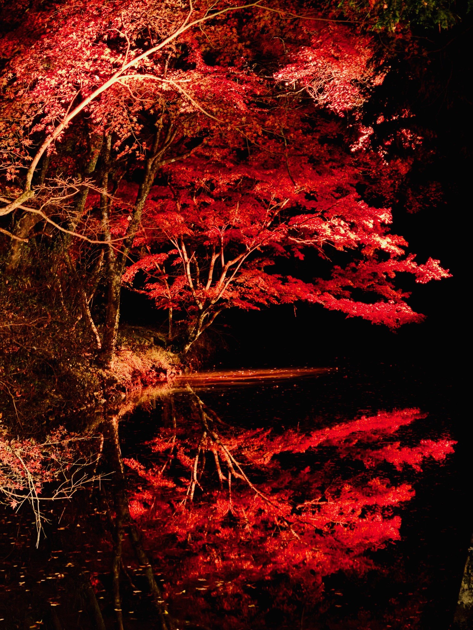 松平東照宮(お堀)